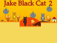 https://arcade-games.space/game/jake-black-cat-2
