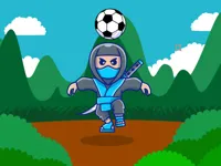 https://arcade-games.space/game/ninja-head-ball