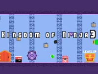 https://arcade-games.space/game/kingdom-of-ninja-3