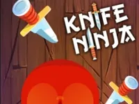 https://arcade-games.space/game/knife-ninja