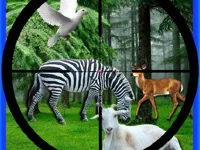 https://arcade-games.space/game/real-jungle-animals-hunting