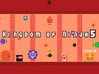https://arcade-games.space/game/kingdom-of-ninja-5