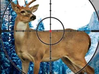 https://arcade-games.space/game/stag-hunter