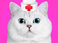 https://arcade-games.space/game/cat-pet-doctor-dentist