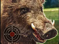 https://arcade-games.space/game/boar-hunting-jigsaw