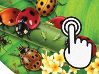 https://arcade-games.space/game/ladybug-clicker
