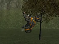 https://arcade-games.space/game/mountain-bike-rider