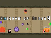 https://arcade-games.space/game/kingdom-of-ninja-4