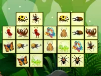 https://arcade-games.space/game/connect-the-insects
