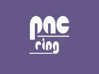 https://arcade-games.space/game/pacring-adventure