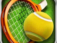https://arcade-games.space/game/3d-tennis