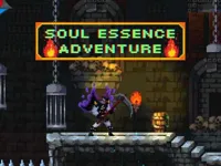 https://arcade-games.space/game/soul-essence-adventure