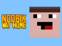 https://arcade-games.space/game/noob-way-home
