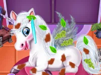 https://arcade-games.space/game/magic-pet-salon
