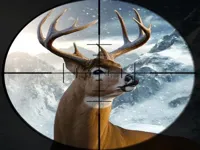 https://arcade-games.space/game/hunter-3d