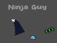 https://arcade-games.space/game/ninja-guy