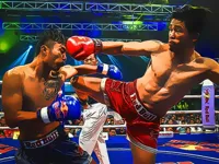 https://arcade-games.space/game/muaythai-fighters-jigsaw