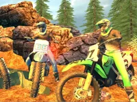 https://arcade-games.space/game/offroad-motorcycle-bike-racing-2020