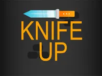 https://arcade-games.space/game/fz-knife-up