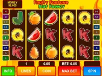 https://arcade-games.space/game/fruity-fortune-slot-frenzy