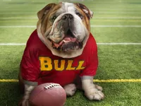 https://arcade-games.space/game/funny-doggy-puzzle