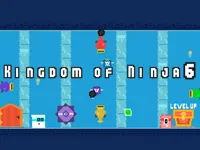 https://arcade-games.space/game/kingdom-of-ninja-6