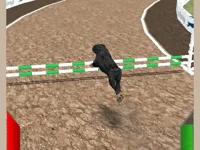 https://arcade-games.space/game/crazy-real-dog-race