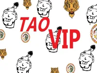 https://arcade-games.space/game/taovip