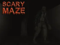 https://arcade-games.space/game/scary-maze-3d