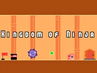 https://arcade-games.space/game/kingdom-of-ninja