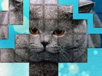 https://arcade-games.space/game/picpu-cat-puzzle
