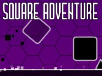 https://arcade-games.space/game/square-adventure