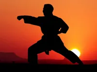 https://arcade-games.space/game/karate-sunset-warriors