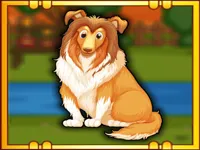 https://arcade-games.space/game/bernese-mountain-dog-escape