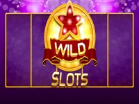 https://arcade-games.space/game/wild-slot