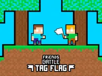 https://arcade-games.space/game/friends-battle-tag-flag