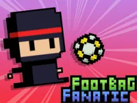https://arcade-games.space/game/footbag-fanatic