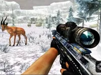 https://arcade-games.space/game/sniper-hunting-jungle-2022