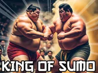 https://arcade-games.space/game/king-of-sumo