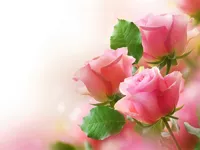 https://arcade-games.space/game/pink-roses-puzzle