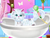 https://arcade-games.space/game/excellent-pet-groomer