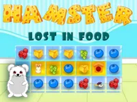 https://arcade-games.space/game/hamster-lost-in-food