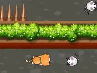 https://arcade-games.space/game/cat-trap-labyrinth-escape