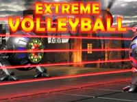 https://arcade-games.space/game/extreme-volleyball