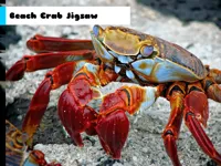 https://arcade-games.space/game/beach-crab-jigsaw