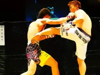 https://arcade-games.space/game/ufc-fighting-match-jigsaw