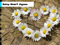 https://arcade-games.space/game/daisy-heart-jigsaw