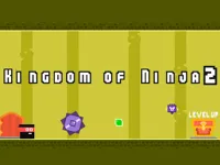 https://arcade-games.space/game/kingdom-of-ninja-2