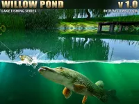 https://arcade-games.space/game/willow-pond