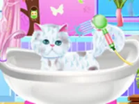 https://arcade-games.space/game/pet-groomer